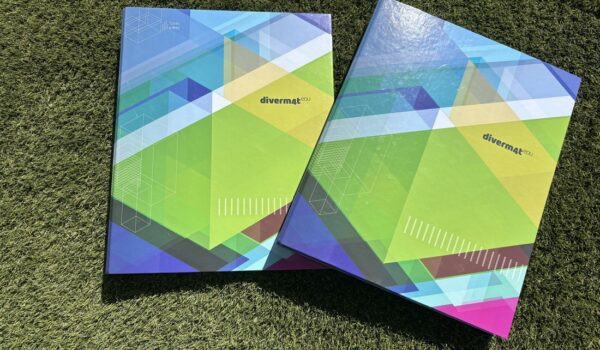 Carpeta de Diverm4t EDU